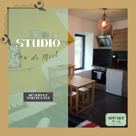 Apartment Appart'a Fleur De Pau *